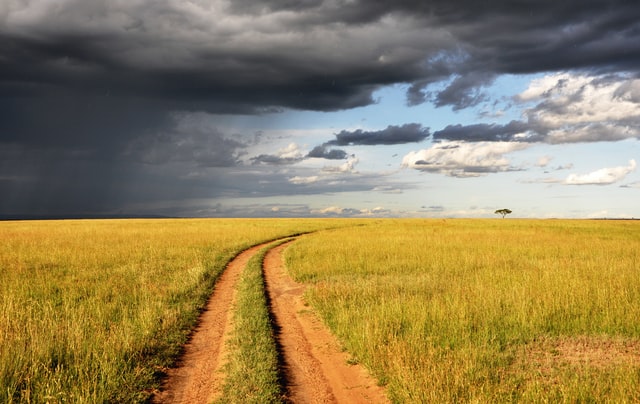 Photo of a path representing how therapy in Tigard, OR can help with PTSD, depression, anxiety or more. We have Christian therapists available if you'd prefer faith based counseling.