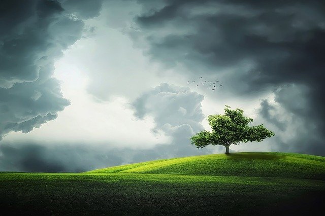 Storm setting with tree on a hill. You can weather the storms of anxiety, postpartum depression, codependency and couples counseling. With Tigard, OR therapist and online therapist in Oregon.