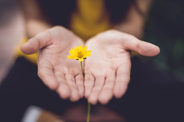 Flower in woman's hand to illustrate the feelings of joy and relief after therapy for anxiety and worry at Discover Counseling in Tigard, OR. You can also get help with online therapy in Oregon.