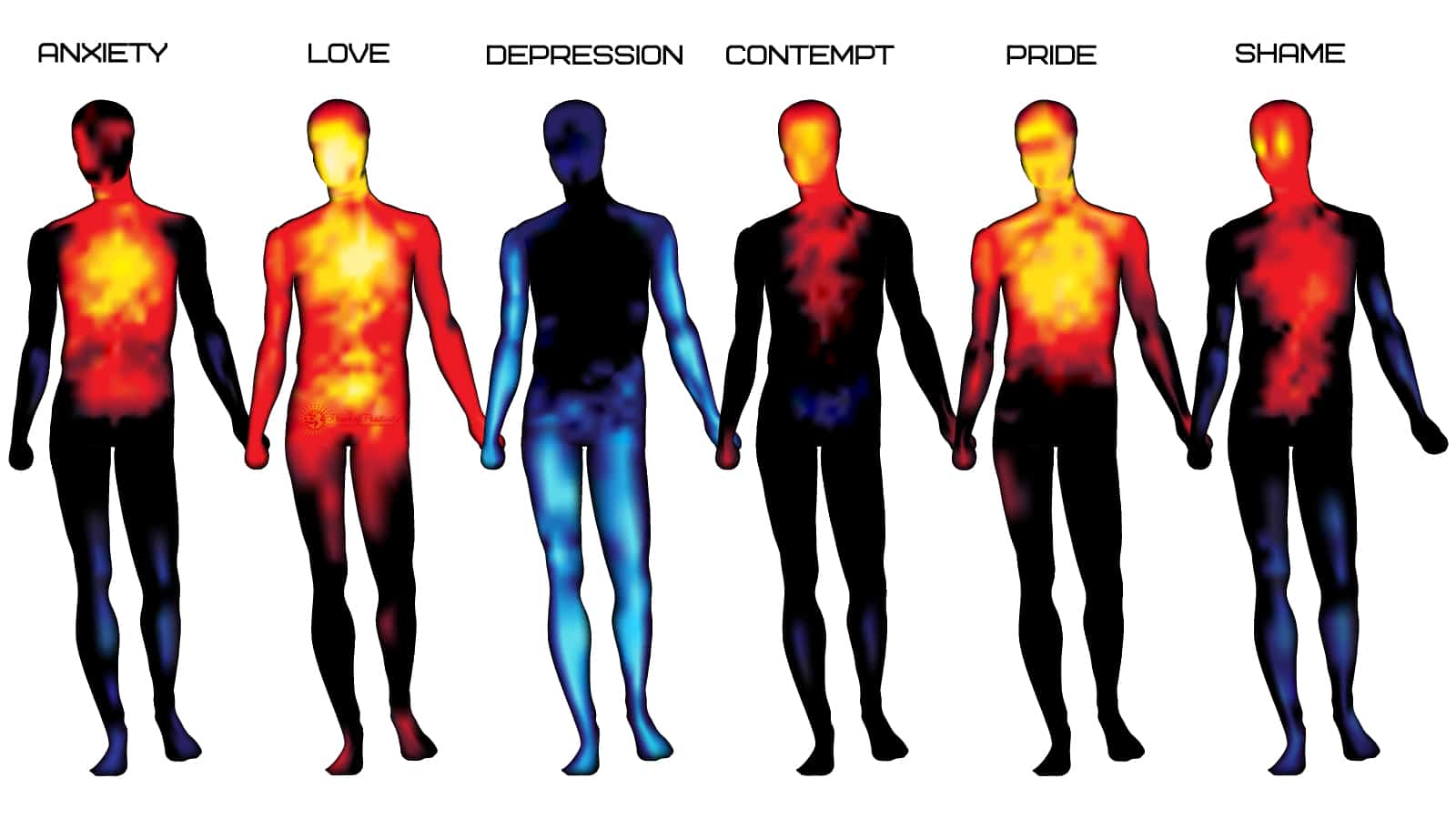 Emotions and the Body