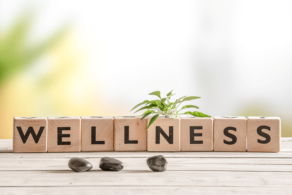 WELLNESS | Anxiety Treatment in Tigard, OR | Counseling for Depression | Stress counseling | online therapy in Oregon Blocks spelling the word WELLNESS with rocks and a plant. Therapy in Tigard, OR can help you get more balanced. You too can get help for anxiety treatment, stress counseling, and therapy for depression with online therapy in Oregon from a skilled Tigard, OR therapist.