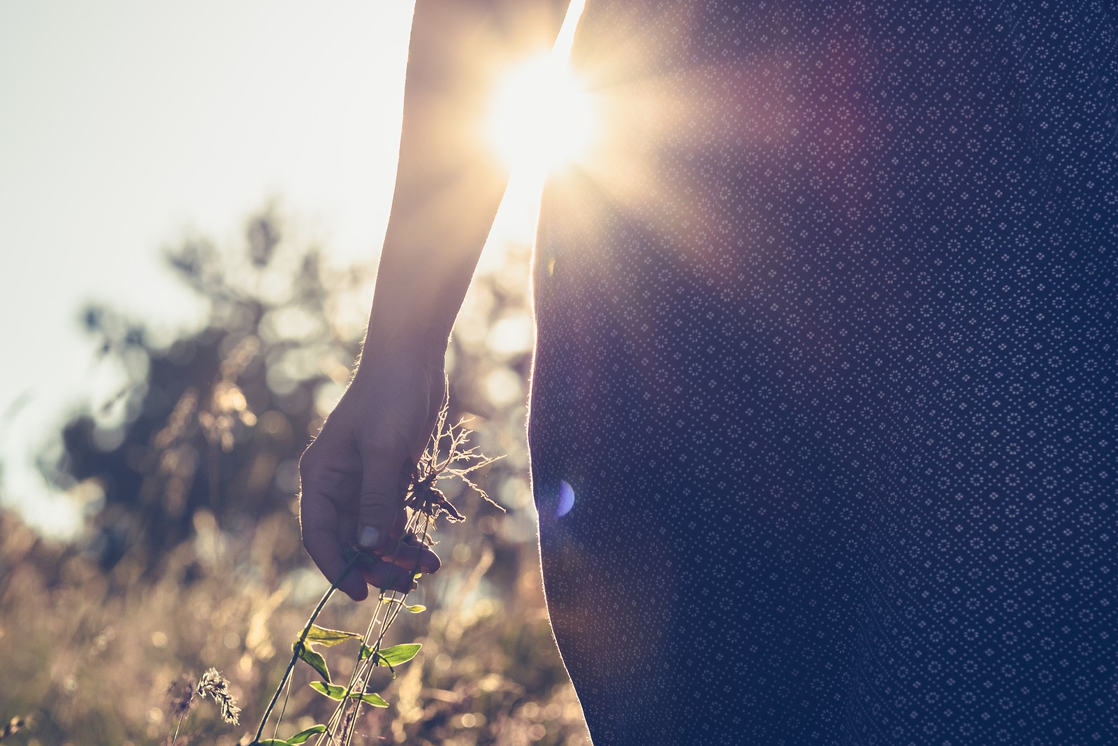 feeling plant | christian therapist in tigard, or | counseling for depression tigard, or | christian counseling in tigard, or | 97268 | 97269 | 97270 A close up of a person feeling a plant as they walk through the light of the setting sun. Learn more about the support a Christian therapist in Tigard, OR can offer by searching for counseling for depression Tigard, OR.