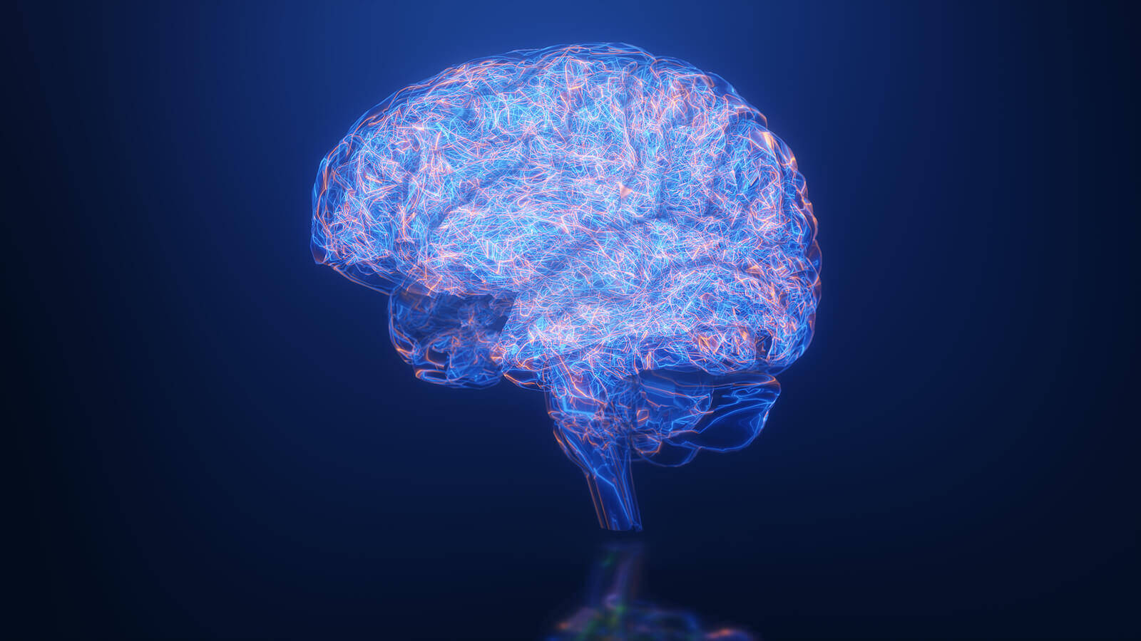 neural pathways | online therapist in oregon | online therapy in oregon | christian therapist in tigard, or | 97223 | 97224 | 97281 A graphic showing neural pathways in a brain. Learn how an online therapist in Oregon can help you promote dopamine by searching for Oregon online therapy. Search for therapy in Tigard, OR and how a Christian therapist in Tigard, OR can help today.