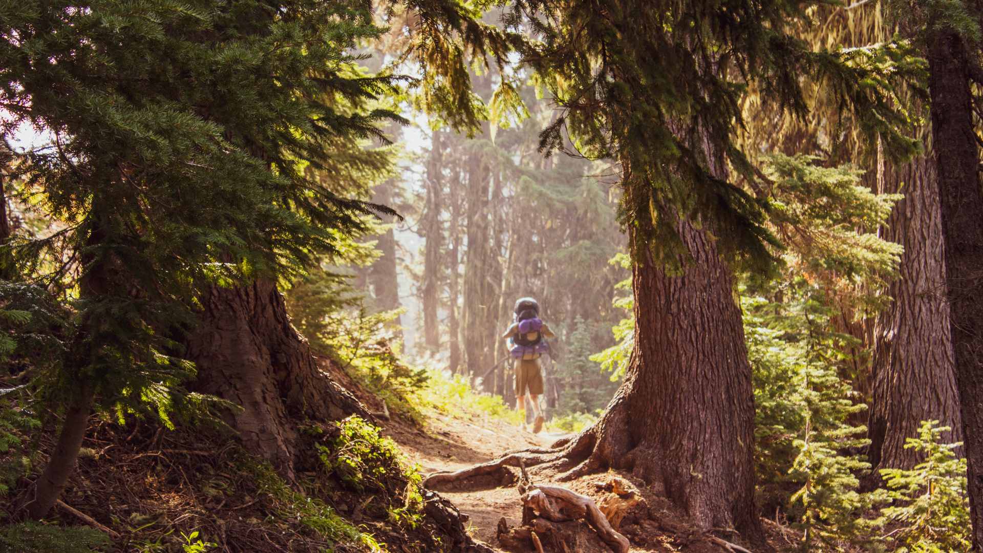 7 Beautiful Spots Near Tigard, Oregon for Mindful Meditation
