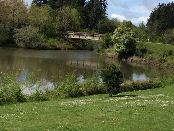 A small wooden footbridge crosses over a calm pond surrounded by green grass, trees, and cloudy blue sky. talking with a therapist near Tigard, OR can help you feel more connected to nature therapy!